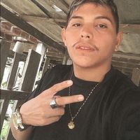 brunosatosdelima4