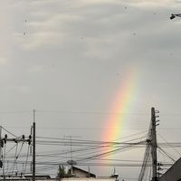 เสียงต้นฉบับ - bright sky