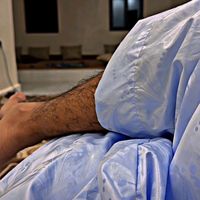 الصوت الأصلي