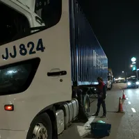 original sound - apis_jj824