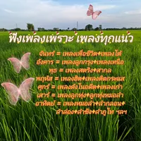 original sound - t.phloenplengpen.music