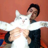miguelcatman