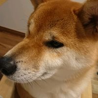 オリジナル楽曲 - maho(・∀・)ゞ