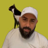 الصوت الأصلي