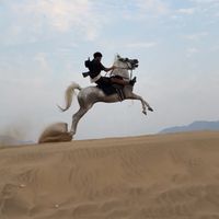 الصوت الأصلي