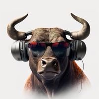 bullmusic8