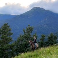 mirzayev_225