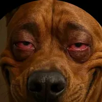 original sound - stanley.da.great1