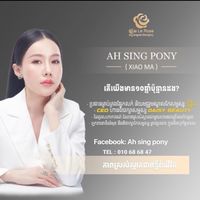 010686847sing