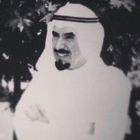 _501_zx