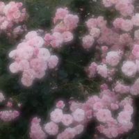 オリジナル楽曲 - ♡ᄉ♡