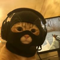 suara asli - rvldisy