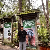 walking in the wind speed up