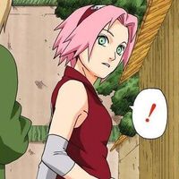 usersakuraa789