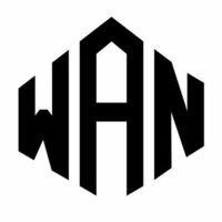 9_wan