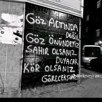 orijinal ses