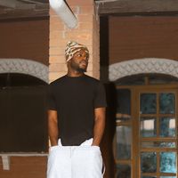 vector_thecreator