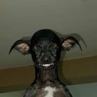 user6y32yqib5k