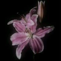 оригинальный звук