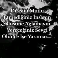 darginim100