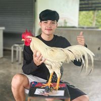 waritta_888