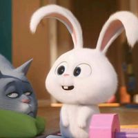 snowball.__.uwu