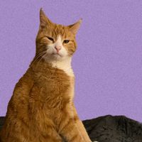 оригинальный звук