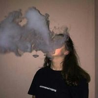 f.demo.s.f