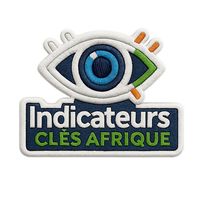 indicateurs_cles_afrique