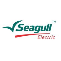 เสียงต้นฉบับ - Seagull Electric