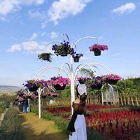 original sound - hay man