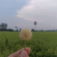 laksiri8360