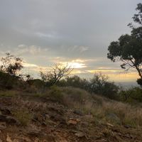 karitoo_an