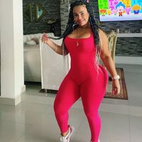 zenithcarcamo
