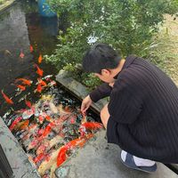 quangg.thangg