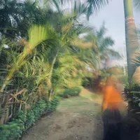 original sound - sejic0n