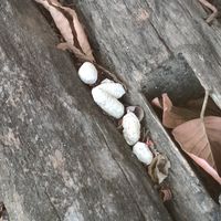 chúng m ko có tuổi