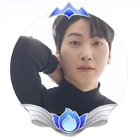 swan_j