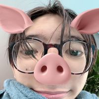 kaijeaw_wised
