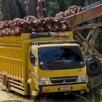 suara asli - Gutder Sihaloho