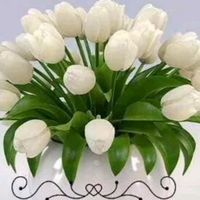 mian.mian.g62