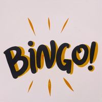 bingotoys