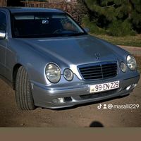masalli229