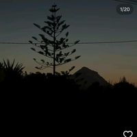alri_jahan