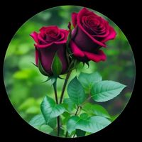 mariam.sanou128