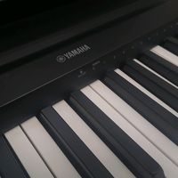 pro334532