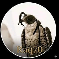 Raq702