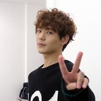 hibo_276