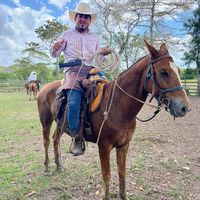 vaquero8482
