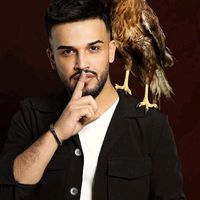 الصوت الأصلي